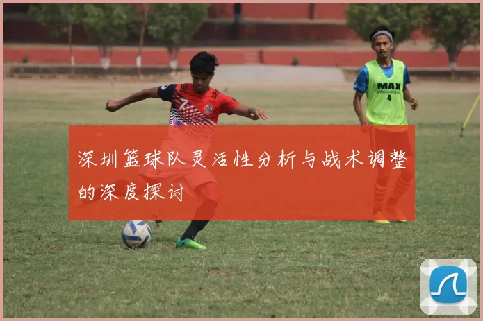 深圳篮球队灵活性分析与战术调整的深度探讨
