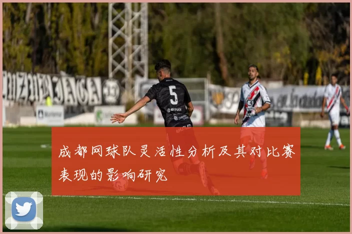成都网球队灵活性分析及其对比赛表现的影响研究