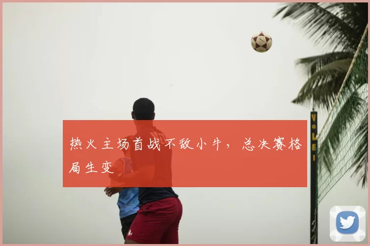热火主场首战不敌小牛,总决赛格局生变