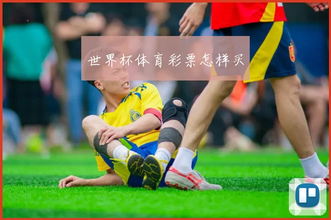 世界杯体育彩票怎样买