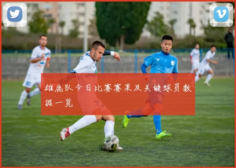 雄鹿队今日比赛赛果及关键球员数据一览