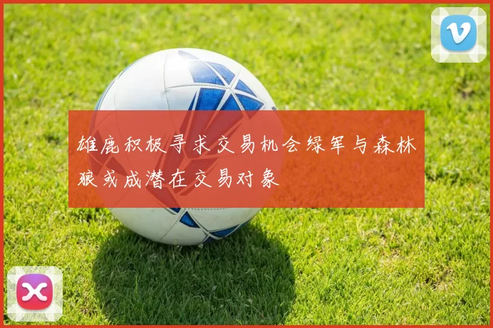 雄鹿积极寻求交易机会绿军与森林狼或成潜在交易对象