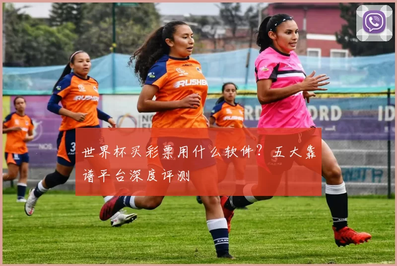 世界杯买彩票用什么软件?五大靠谱平台深度评测