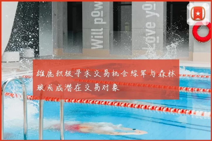 雄鹿积极寻求交易机会绿军与森林狼或成潜在交易对象