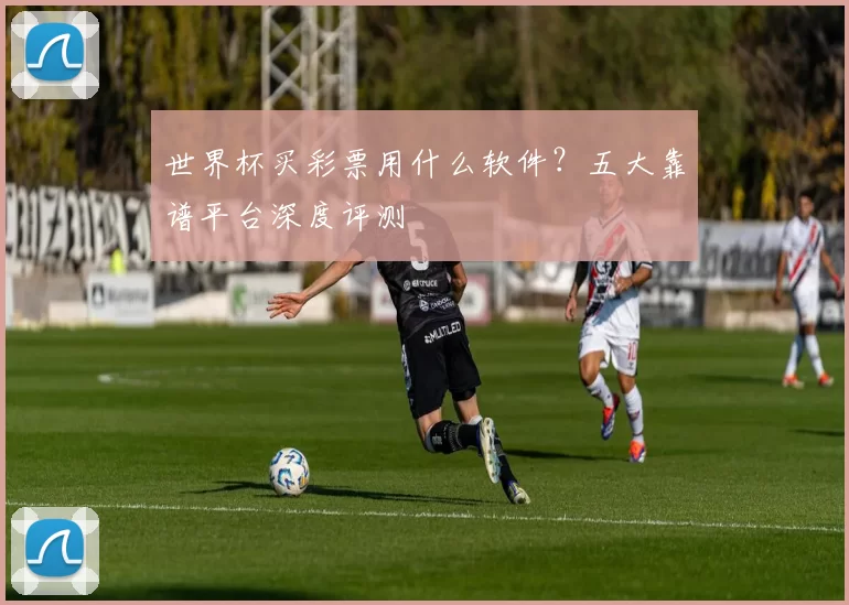 世界杯买彩票用什么软件？五大靠谱平台深度评测