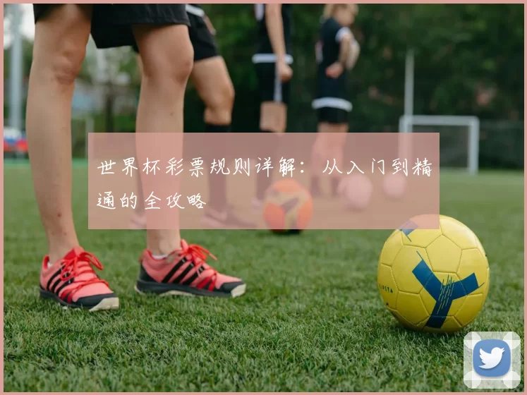世界杯彩票规则详解:从入门到精通的全攻略